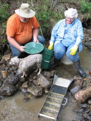 Gold panning and sluicing at Chicken, Alaska