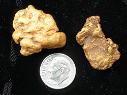 Nuggets from the creek at Chicken, Alaska