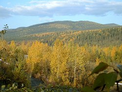 Cabin for rent at the Chicken Gold Camp - Chicken, Alaska