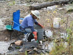 Gold taken right from the creek - Chicken, Alaska