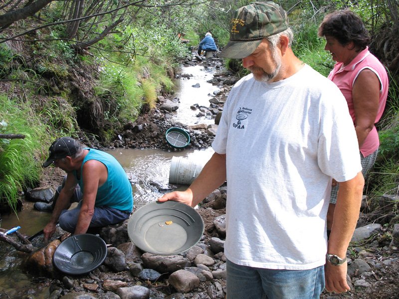 Gold in the pans at Chicken, Alaska!